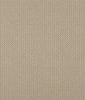 GP & J Baker Axis Flax Fabric
