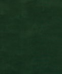 GP & J Baker Baker House Velvet Forest Fabric