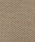 GP & J Baker Swanbourne Mink Fabric