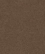 GP & J Baker Baker House Boucle Nutmeg
