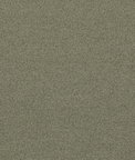 GP & J Baker Baker House Boucle Sage Fabric