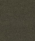 GP & J Baker Baker House Boucle Forest Fabric