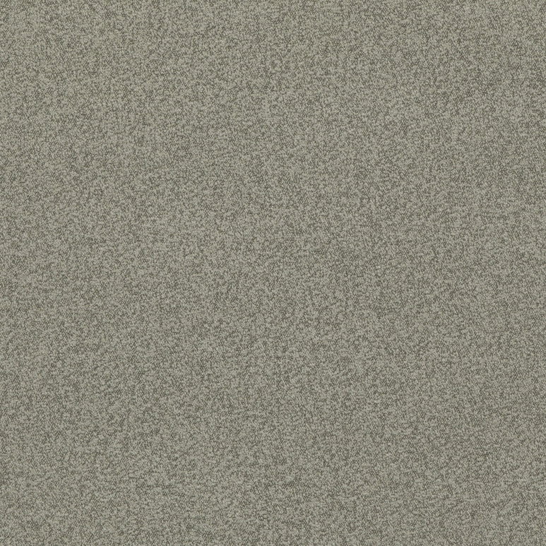 GP &amp; J Baker Baker House Boucle Dove Fabric
