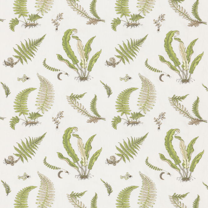 GP &amp; J Baker Ferns Embroidery Green Fabric