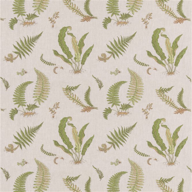 GP &amp; J Baker Ferns Embroidery Green/Natural Fabric