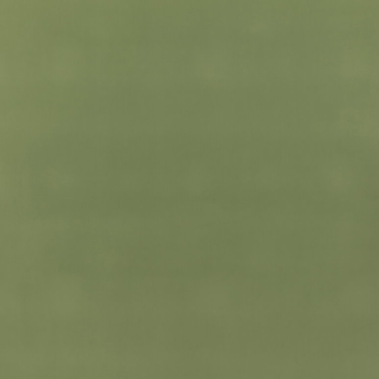 GP &amp; J Baker Baker House Fr Velvet Grass Fabric
