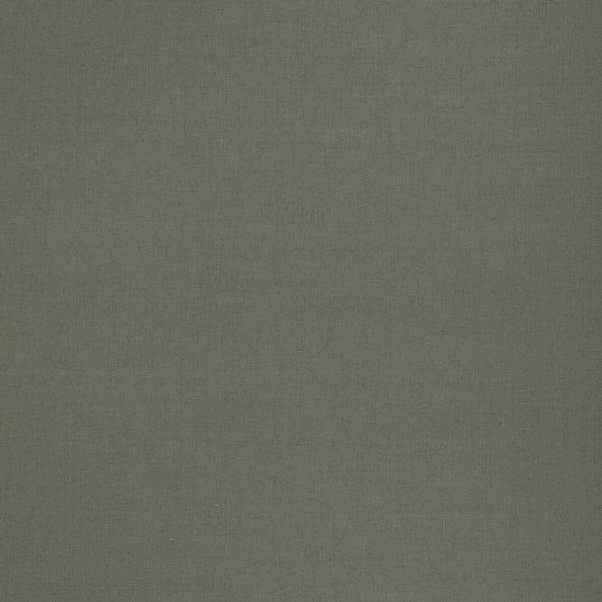 GP &amp; J Baker Kemble Fern Fabric