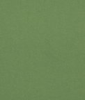 GP & J Baker Kit's Linen Green Fabric