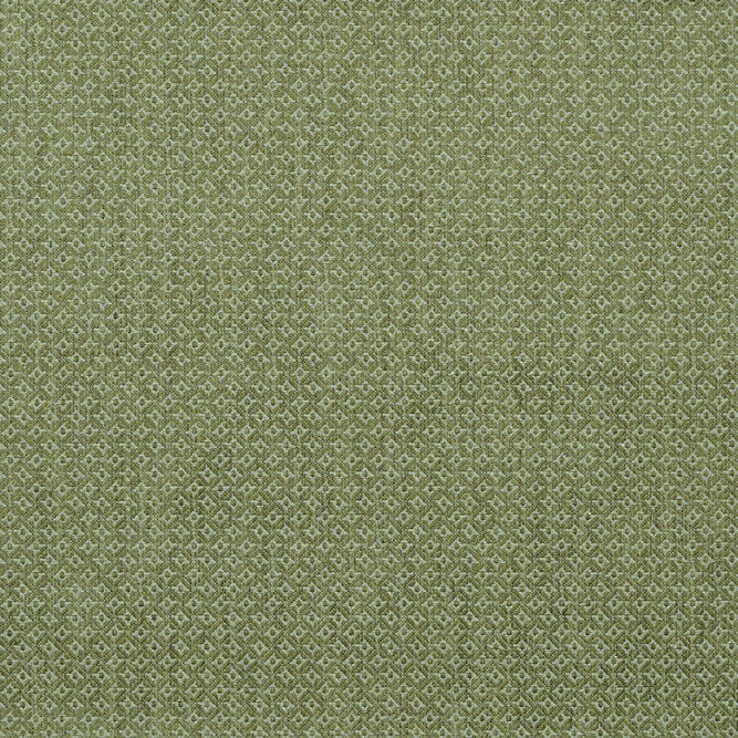 Lee Jofa Cavendish Lime Fabric