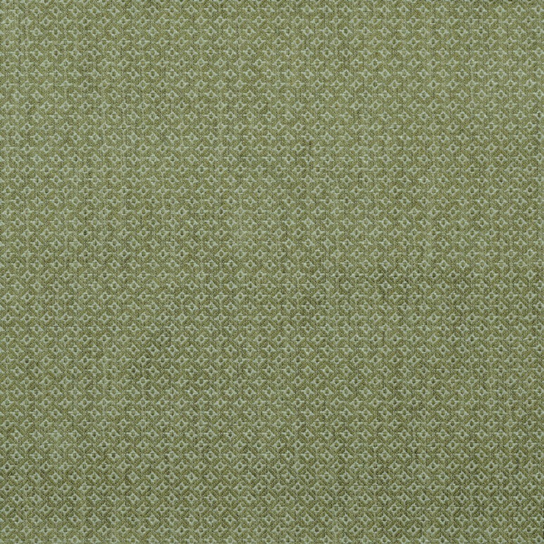 Lee Jofa Cavendish Lime Fabric