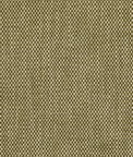 Lee Jofa Carlton Moss Fabric