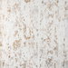 Kravet Big Bang Metallic Fabric