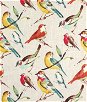 Richloom Birdwatcher Meadow Fabric