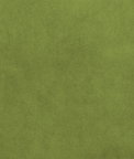 Bliss 110" Velvet Grass Fabric