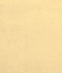 Bliss 110" Velvet Sand Fabric