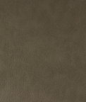 RK Classics Tallahatchie Buckskin Fabric