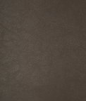Kravet Bond.21.0 Fabric