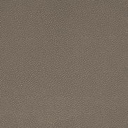 Mitchell Ez-Kleen™ Bowa Fossil Vinyl Fabric