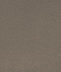 Mitchell Ez-Kleen™ Bowa Fossil Vinyl Fabric