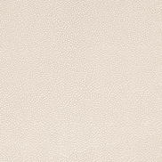 Mitchell Ez-Kleen™ Bowa Oyster Vinyl Fabric