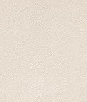 Mitchell Ez-Kleen™ Bowa Oyster Vinyl Fabric