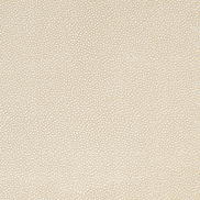 Mitchell Ez-Kleen™ Bowa Pearl Vinyl Fabric