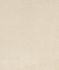 Mitchell Ez-Kleen™ Bowa Pearl Vinyl Fabric