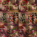 GP & J Baker Barcelona Magenta Fabric