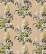 GP & J Baker Bird & Iris Blush