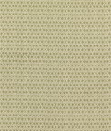 GP & J Baker Merrin Green Fabric