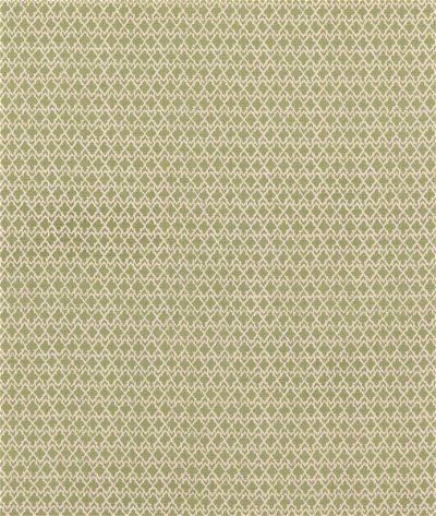 GP & J Baker Merrin Green Fabric