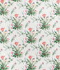 Brunschwig & Fils Reveillon Tulips Glazed Chintz Rose/White Fabric