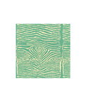 Brunschwig & Fils Le Zebre Aqua Fabric