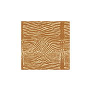 Brunschwig & Fils Le Zebre Caramel Fabric