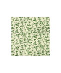 Brunschwig & Fils West Indies Toile Cotton Print Green/White Fabric