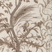 Brunschwig & Fils Bird And Thistle Cotton Print Beige Fabric
