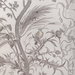 Brunschwig & Fils Bird And Thistle Cotton Print Gray Fabric