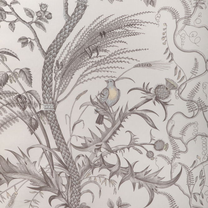 Brunschwig &amp; Fils Bird And Thistle Cotton Print Gray Fabric