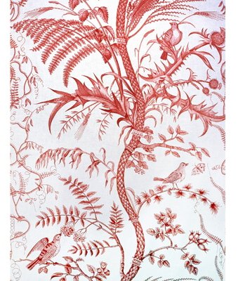 Brunschwig & Fils Bird And Thistle Cotton Print Red Fabric