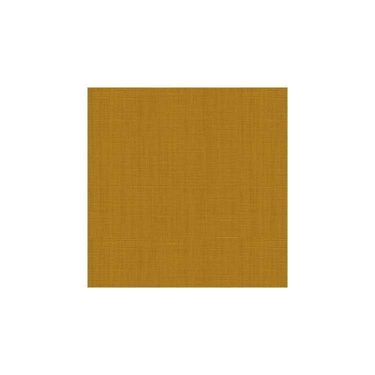 Brunschwig &amp; Fils Toile Sauvageonne Amber Fabric