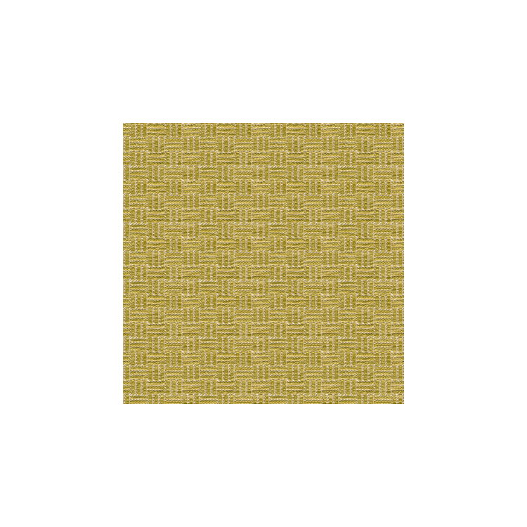 Brunschwig &amp; Fils Reed Texture Lichen Fabric