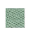 Brunschwig & Fils Solitaire Texture Aquamarine Fabric