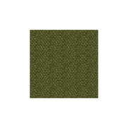 Brunschwig & Fils Solitaire Texture Avocado Fabric