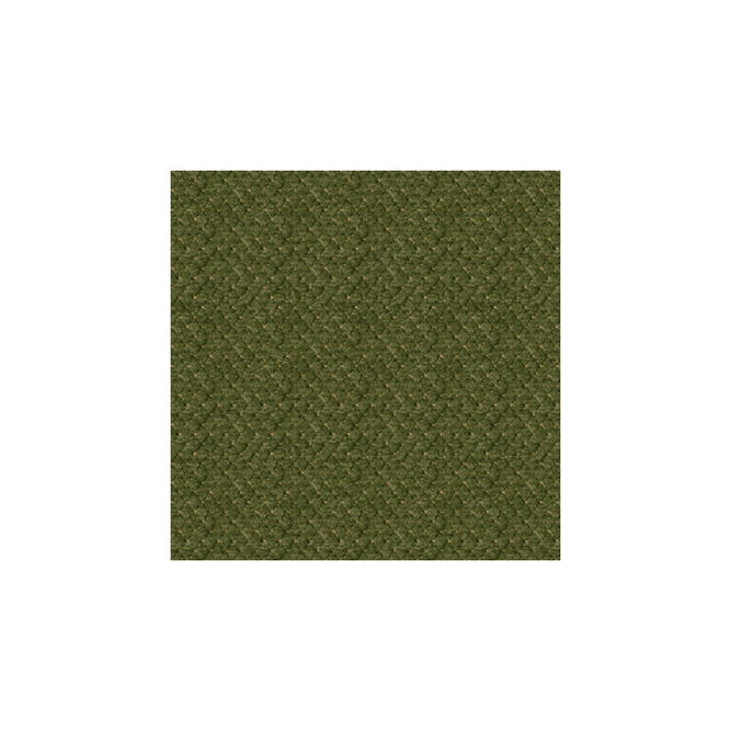 Brunschwig &amp; Fils Solitaire Texture Avocado Fabric