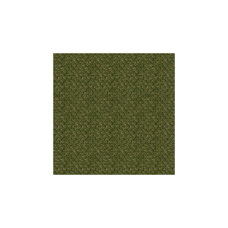 Brunschwig &amp; Fils Solitaire Texture Avocado Fabric