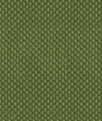 Brunschwig & Fils New Meymac Check Velvet Vert Fabric