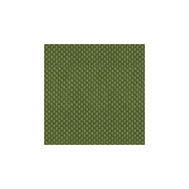 Brunschwig &amp; Fils New Meymac Check Velvet Vert Fabric