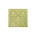Brunschwig & Fils Charlieu Lampas Vert/Ivoire Fabric