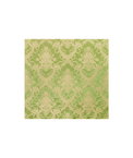 Brunschwig & Fils Charlieu Lampas Vert/Ivoire Fabric