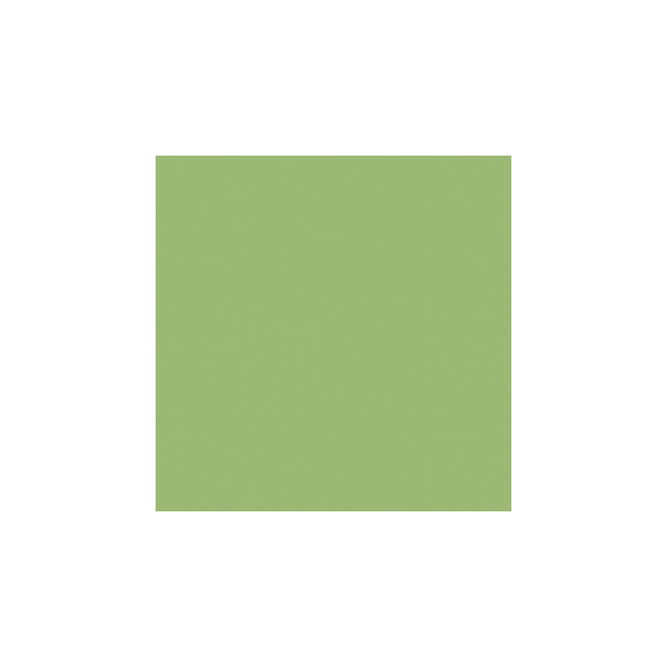 Brunschwig &amp; Fils Satin La Tour Vert LLS Fabric